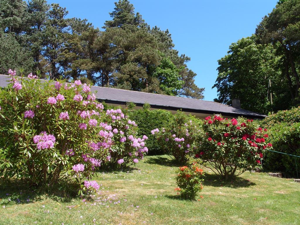 Plas Heulog Holiday Cottages Llanfairfechan Exteriör bild